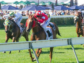 Morphettville Racecourse - Accommodation Melbourne 2