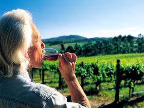 Ashton Hills Vineyard - Accommodation Melbourne 0