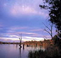 Loch Luna Game Reserve and Moorook Game Reserve - Accommodation Melbourne