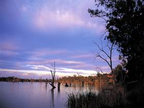 Loch Luna Game Reserve And Moorook Game Reserve - Accommodation Melbourne 0