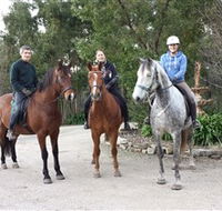 Academy of Dressage - Melbourne 4u