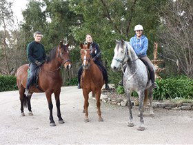 Academy Of Dressage - Accommodation Melbourne 0