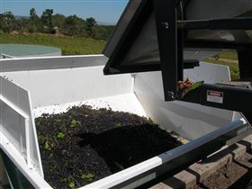 Possingham And Summers Cellar Door - Accommodation Melbourne 1