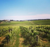 Adelaide Winemakers - Accommodation Melbourne