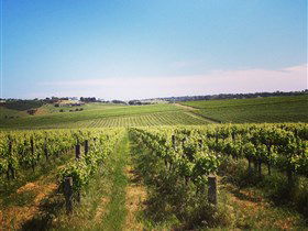 Adelaide Winemakers - Accommodation Melbourne 0