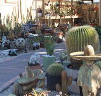 Cactus Creations - Accommodation Melbourne