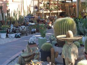 Cactus Creations - Accommodation Melbourne 0