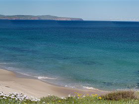 Carrickalinga Beach - Accommodation Melbourne 1