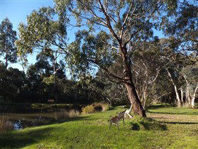 Mount Compass And District Produce And Tourist Trail - Accommodation Melbourne 3