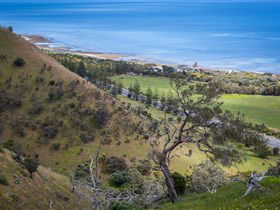 Lady Bay Beach - Accommodation Melbourne 1