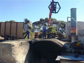 Emu Ridge Eucalyptus - Accommodation Melbourne 1