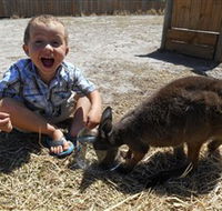 Animal Farm Goolwa - Accommodation Melbourne