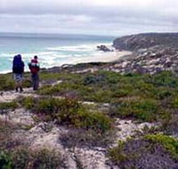Murray Lagoon - Cape Gantheaume Conservation Park - Accommodation Melbourne
