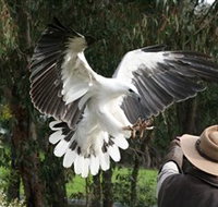Raptor Domain - Accommodation Melbourne
