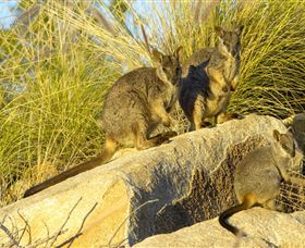 Towers Hill Lookout And Amphitheatre - Accommodation Melbourne 1