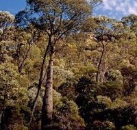 Ka Ka Mundi Carnarvon National Park - Accommodation Melbourne