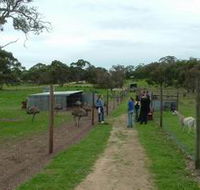 Avenue Emus - Accommodation Melbourne