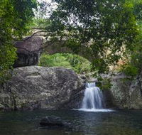 Paluma and Crystal Creek Rainforest - Accommodation Melbourne