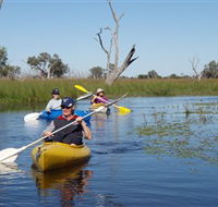Marsh Meanders - Accommodation Melbourne