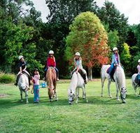 Limestone Coast Horseriding - Accommodation Melbourne