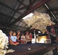 Shear Outback the Australian Shearers Hall of Fame - Accommodation Melbourne