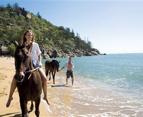 Horseshoe Bay - Accommodation Melbourne 1