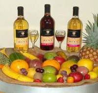 de Brueys Boutique Wines and Functions Venue - Accommodation Melbourne