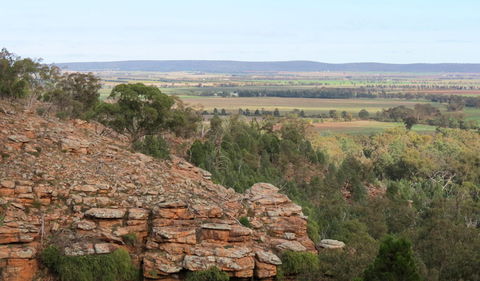 Jacks Creek Walking Track - Accommodation Melbourne 0