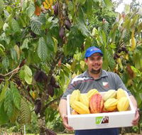 Sweet Farm Tours - Accommodation Melbourne
