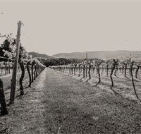 Halls Gap Estate - Accommodation Melbourne