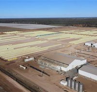 Southern Cotton Gin - Accommodation Melbourne
