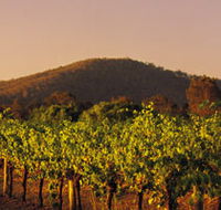 Taltarni Vineyards - Accommodation Melbourne