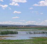 Fivebough Wetlands - Accommodation Melbourne
