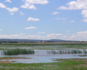 Fivebough Wetlands - Accommodation Melbourne 0