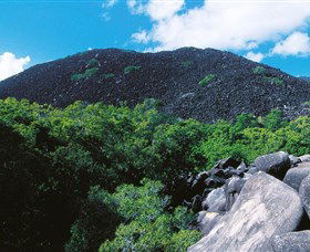 Black Mountain (Kalkajaka) National Park - Accommodation Melbourne 0