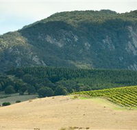 Langi Ghiran State Park - Accommodation Melbourne