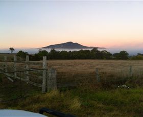 Mountainside Wines - Accommodation Melbourne 2