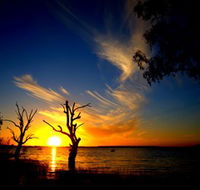 Lake Cowal - Accommodation Melbourne