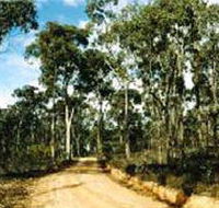 Paddys Ranges State Park - Accommodation Melbourne