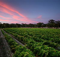 Amherst Winery - Accommodation Melbourne