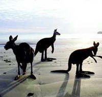 Hibiscus Coast - Accommodation Melbourne
