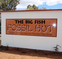 Big Fish Fossil Hut at Peak Hill - Accommodation Melbourne