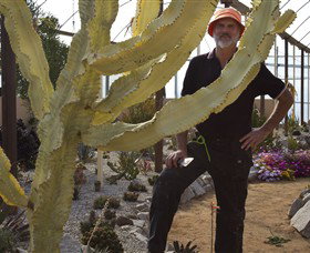 Cactus Country - Accommodation Melbourne 0