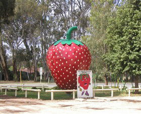 The Big Strawberry - Accommodation Melbourne 1