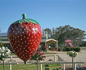 The Big Strawberry - Accommodation Melbourne 2