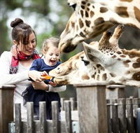 Taronga Western Plains Zoo Dubbo - Accommodation Melbourne