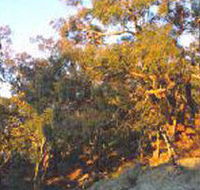Mount Alexander Regional Park - Accommodation Melbourne