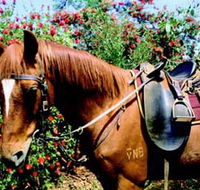 Western Plains Riding Centre - Accommodation Melbourne