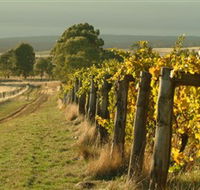 Captains Creek Organic Wines - Accommodation Melbourne