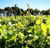 Basalt Wines - Accommodation Melbourne